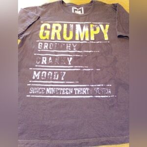 Grumpy Grouchy Cranky Moody Since 1937 Disney Store Brown XL Graphic T-Shirt